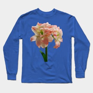 Amaryllis - Amaryllis Aphrodite Long Sleeve T-Shirt